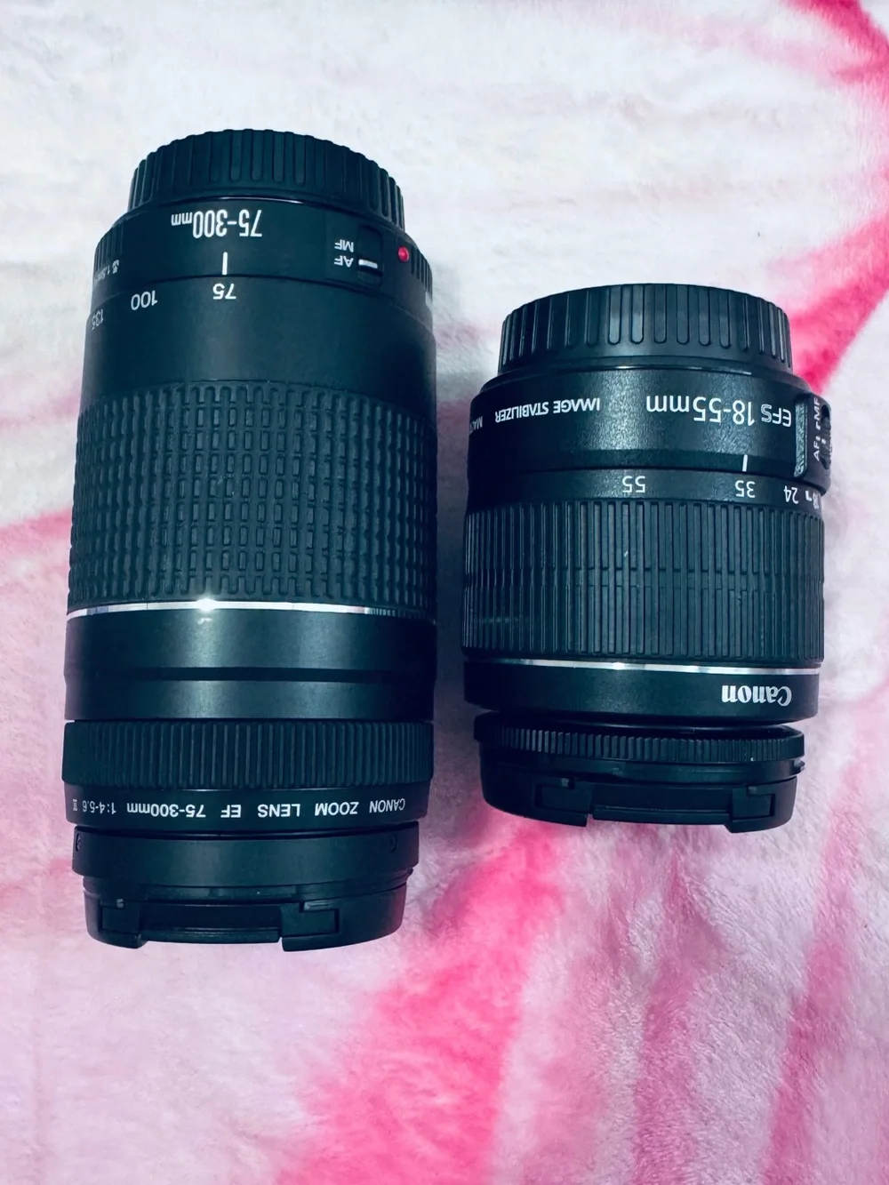 Canon EOS Rebel T6 DSLR Camera Kit in Black with Lenses